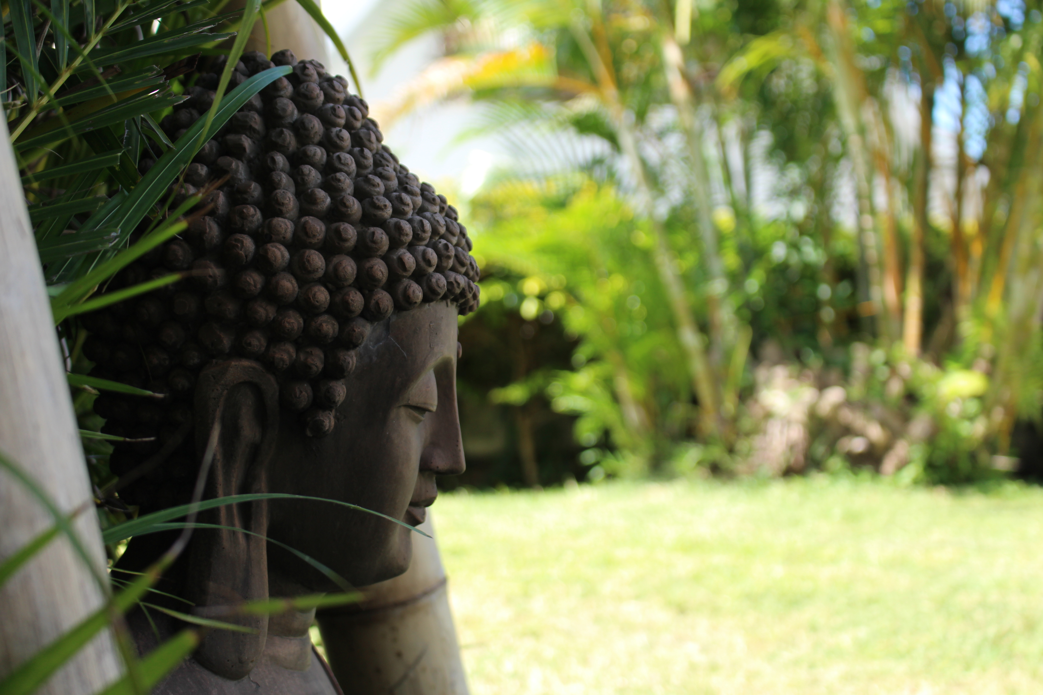 Jardin de méditation